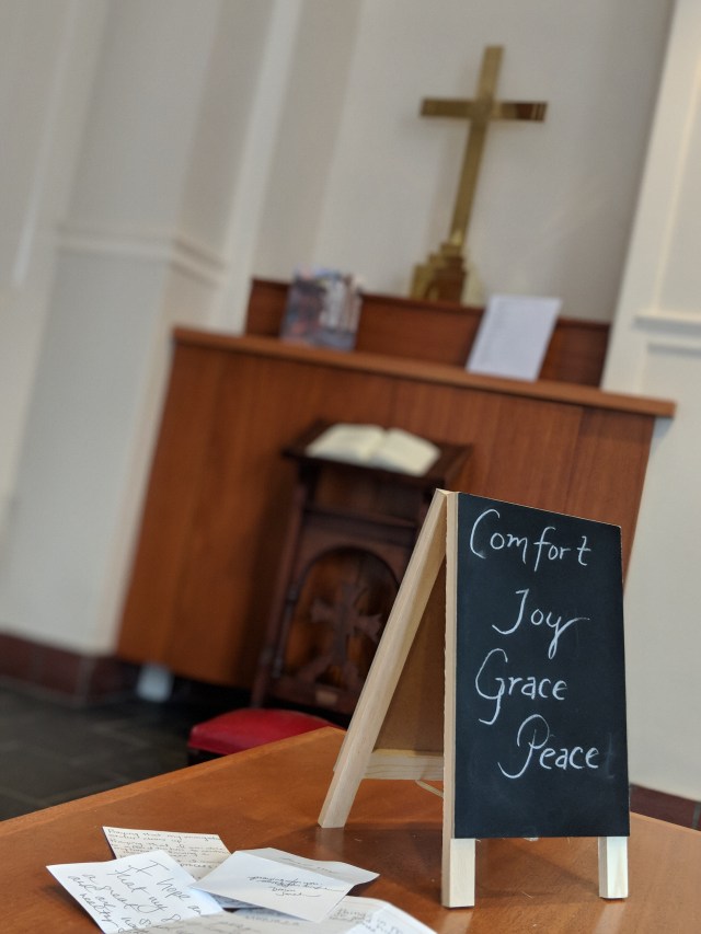 00100dPORTRAIT_00100_BURST20190207125558085_COVER